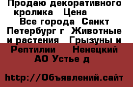 Продаю декоративного кролика › Цена ­ 500 - Все города, Санкт-Петербург г. Животные и растения » Грызуны и Рептилии   . Ненецкий АО,Устье д.